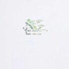 Camiseta Blanca Etro AK977-X0800