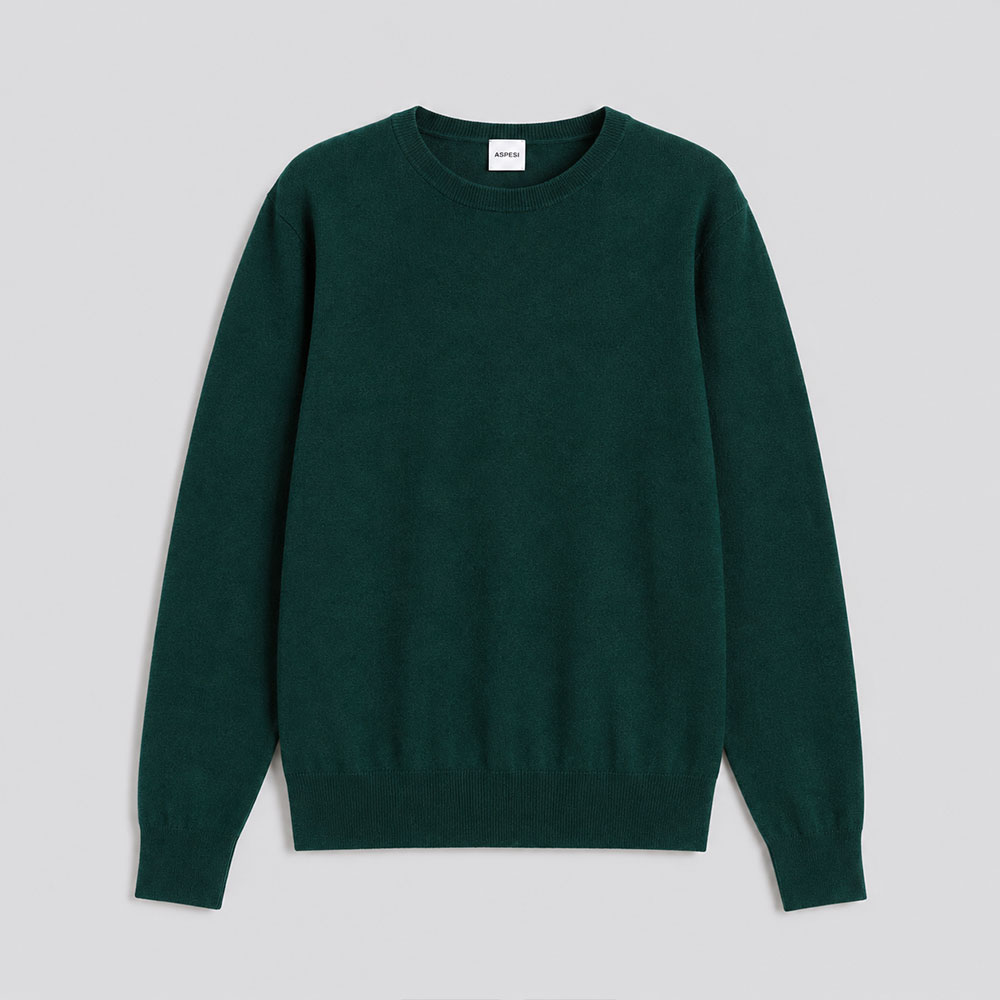 Merino Wool round neck sweater Mod. M195 green Aspesi